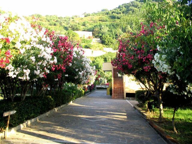 Villaggio Hotel Club Calanovellamare Piraino Eksteriør bilde