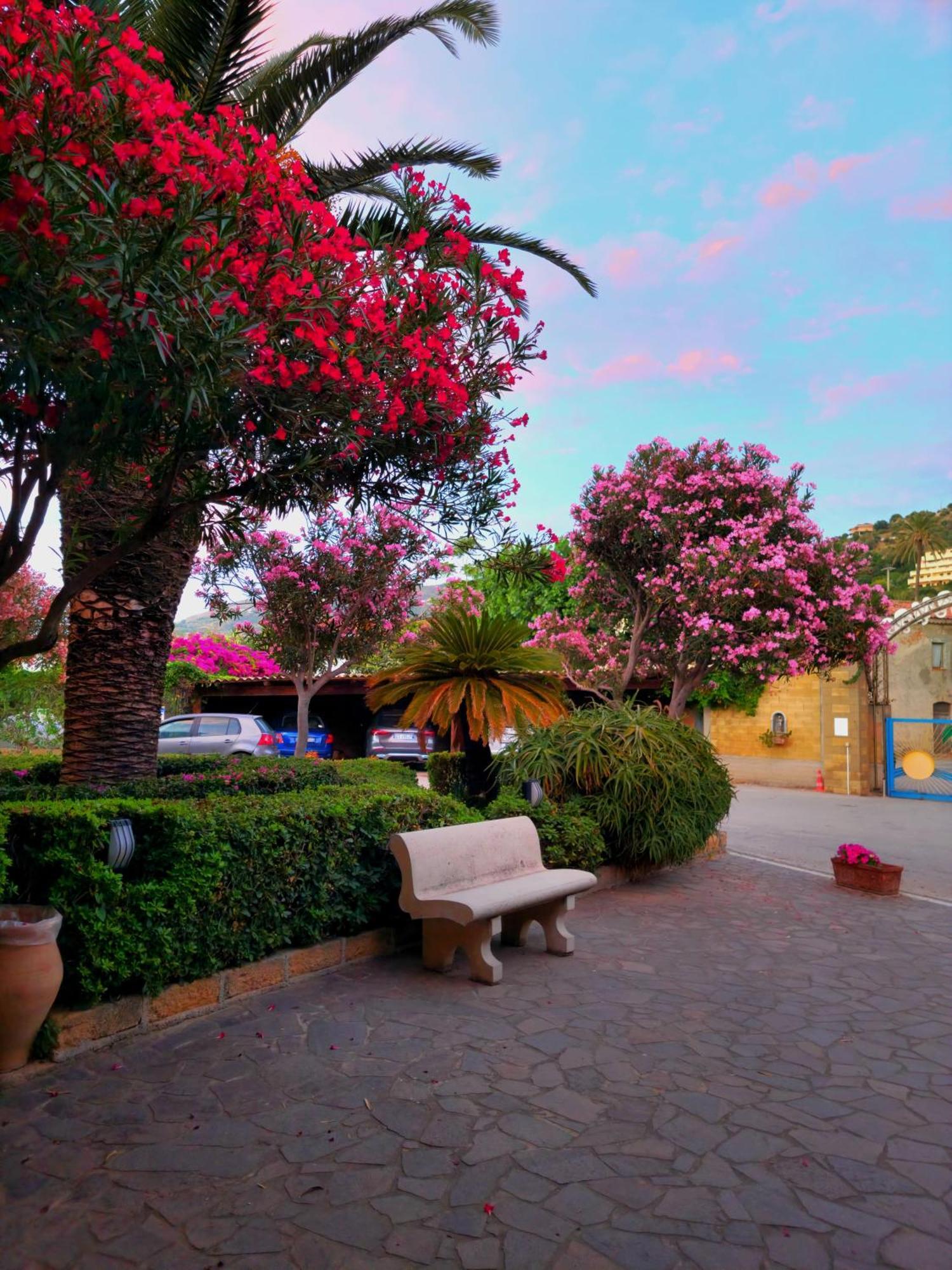 Villaggio Hotel Club Calanovellamare Piraino Eksteriør bilde